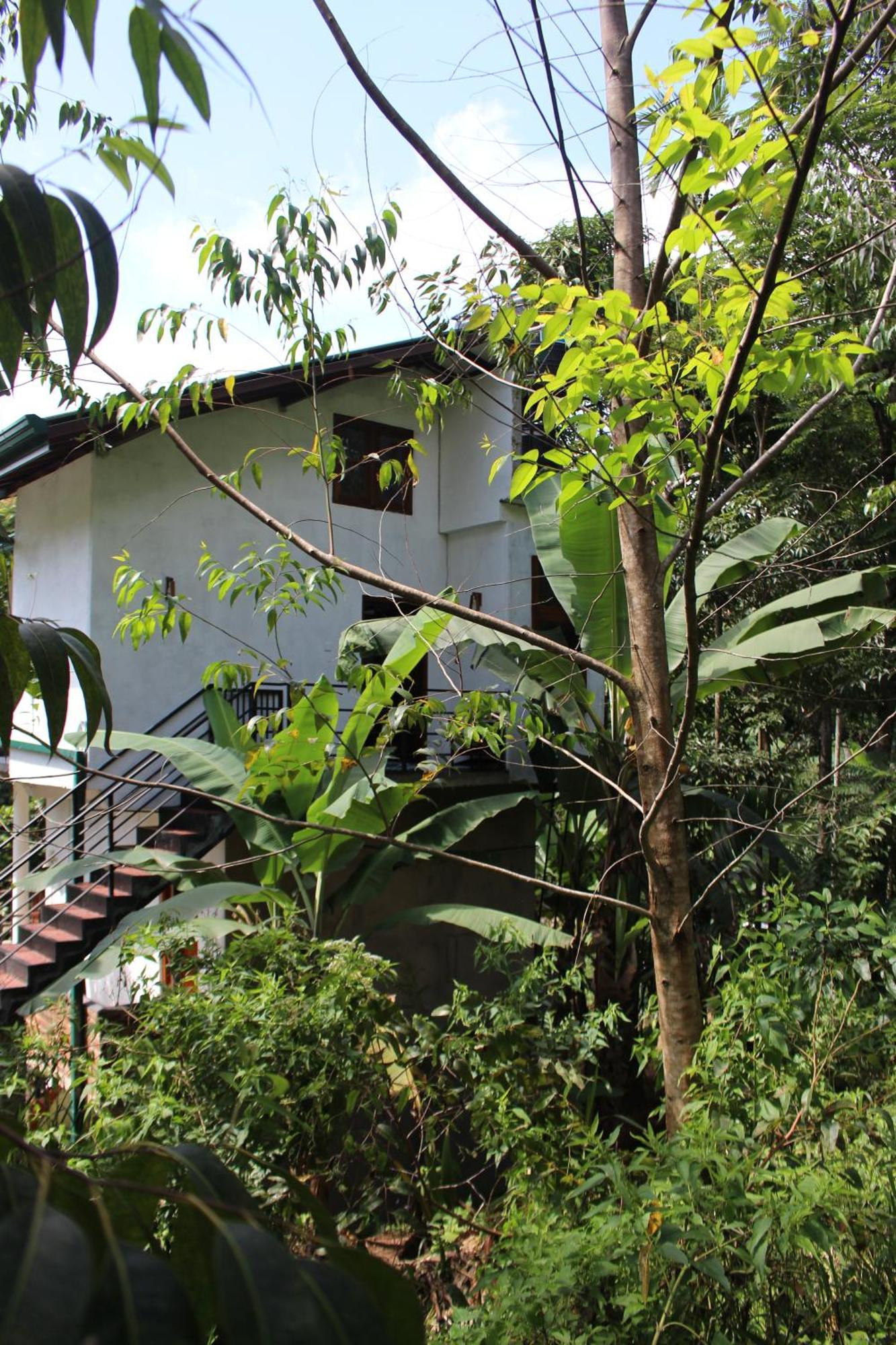 Rest Full Homestay Ella Buitenkant foto