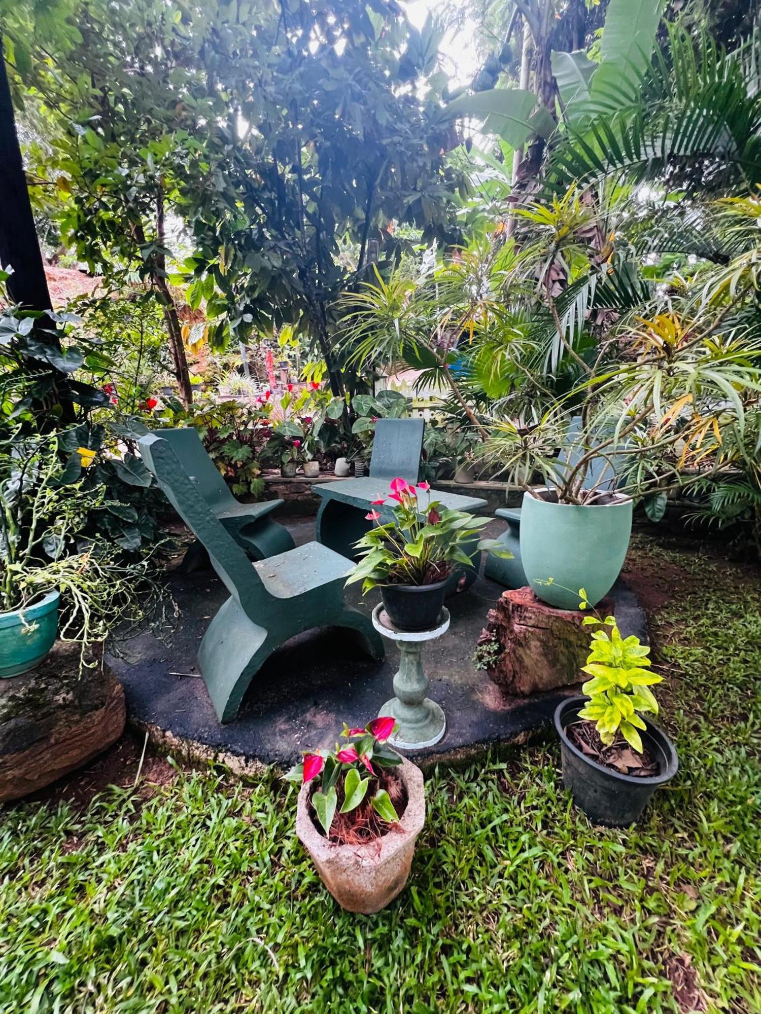 Rest Full Homestay Ella Buitenkant foto